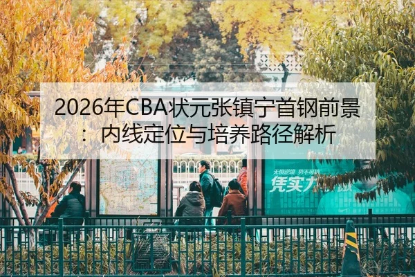 nian-zhuang-yuan-zhang-zhen-ning-shou-gang-qian-jing-nei-xian-ding-wei-yu-pei-yang-lu-jing-jie-xi-2-296.jpg